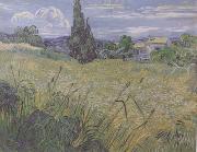 Vincent Van Gogh Green Wheat Field with Cypress (nn04) Sweden oil painting reproduction